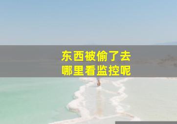 东西被偷了去哪里看监控呢