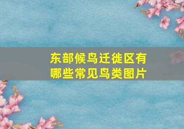 东部候鸟迁徙区有哪些常见鸟类图片