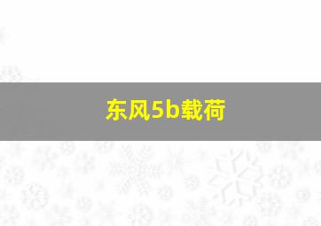 东风5b载荷