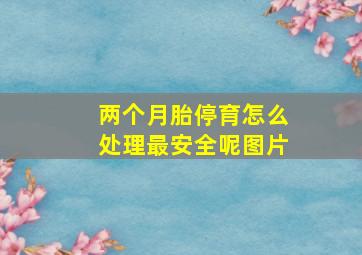 两个月胎停育怎么处理最安全呢图片