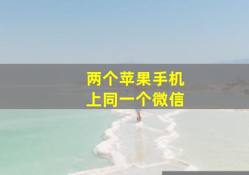 两个苹果手机上同一个微信