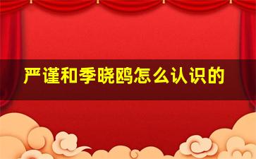 严谨和季晓鸥怎么认识的