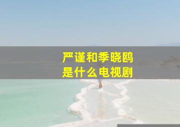 严谨和季晓鸥是什么电视剧