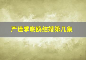 严谨季晓鸥结婚第几集