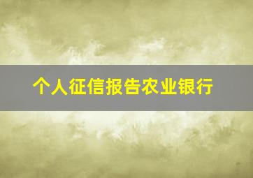 个人征信报告农业银行