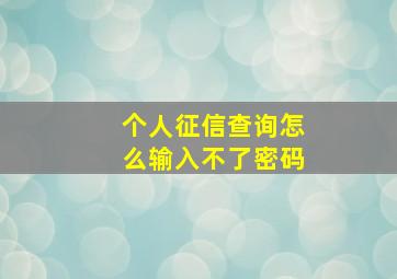 个人征信查询怎么输入不了密码