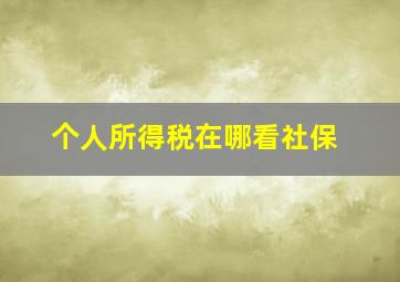 个人所得税在哪看社保