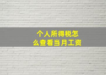 个人所得税怎么查看当月工资