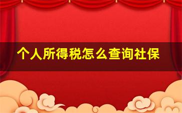 个人所得税怎么查询社保