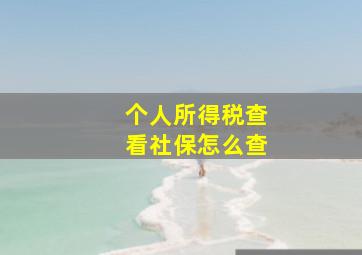 个人所得税查看社保怎么查