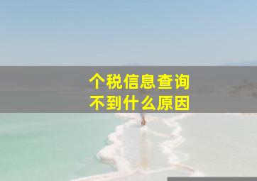 个税信息查询不到什么原因