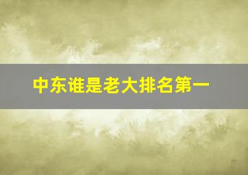 中东谁是老大排名第一