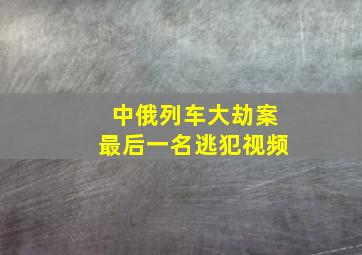 中俄列车大劫案最后一名逃犯视频