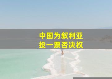 中国为叙利亚投一票否决权