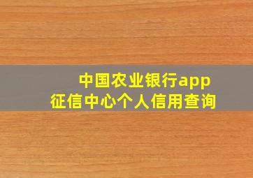 中国农业银行app征信中心个人信用查询