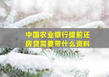 中国农业银行提前还房贷需要带什么资料