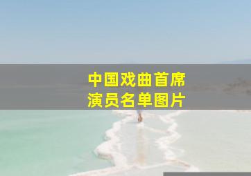 中国戏曲首席演员名单图片