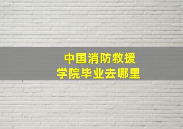 中国消防救援学院毕业去哪里