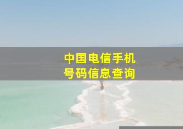 中国电信手机号码信息查询