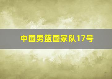 中国男篮国家队17号