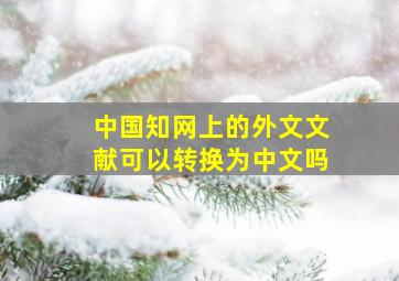 中国知网上的外文文献可以转换为中文吗