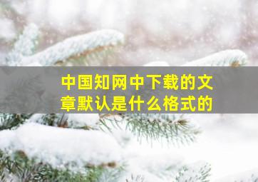 中国知网中下载的文章默认是什么格式的