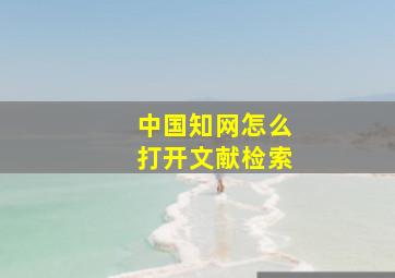 中国知网怎么打开文献检索