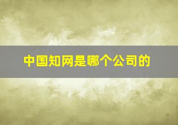 中国知网是哪个公司的