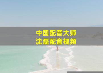 中国配音大师沈磊配音视频