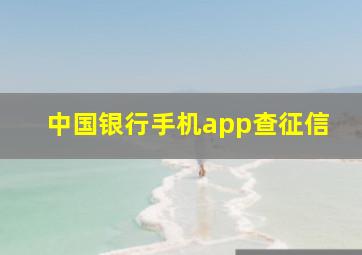 中国银行手机app查征信