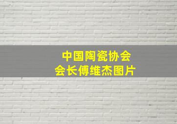 中国陶瓷协会会长傅维杰图片