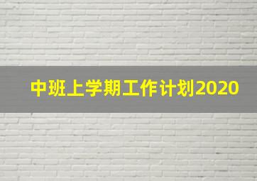 中班上学期工作计划2020