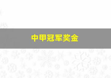 中甲冠军奖金