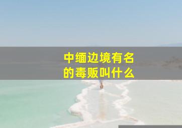 中缅边境有名的毒贩叫什么