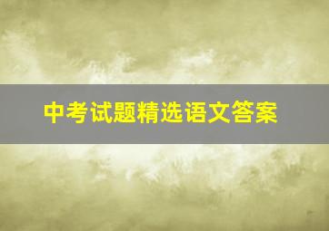 中考试题精选语文答案