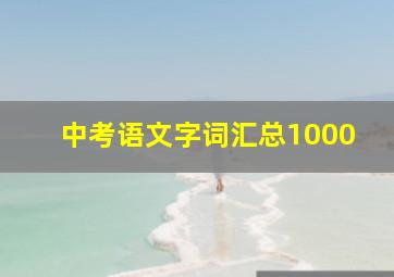 中考语文字词汇总1000