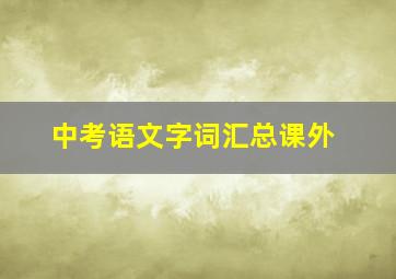 中考语文字词汇总课外