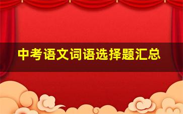 中考语文词语选择题汇总