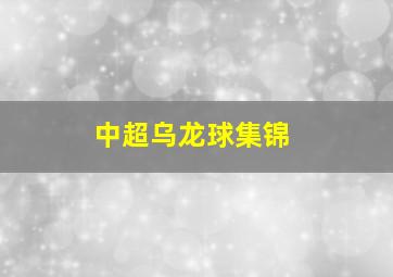 中超乌龙球集锦