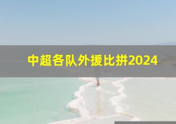 中超各队外援比拼2024