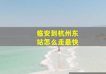 临安到杭州东站怎么走最快