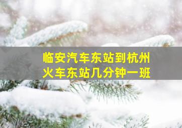 临安汽车东站到杭州火车东站几分钟一班