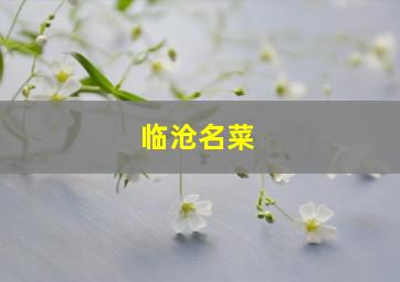 临沧名菜