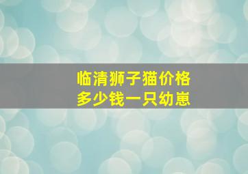 临清狮子猫价格多少钱一只幼崽