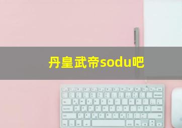 丹皇武帝sodu吧