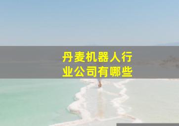 丹麦机器人行业公司有哪些