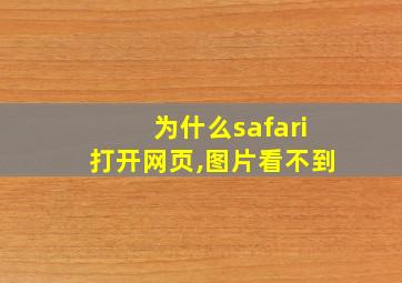 为什么safari打开网页,图片看不到