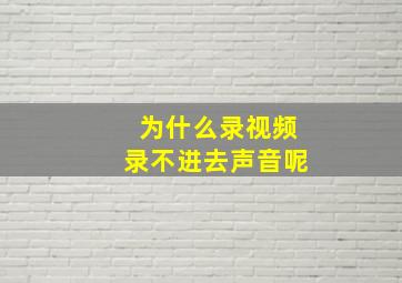 为什么录视频录不进去声音呢