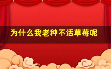 为什么我老种不活草莓呢