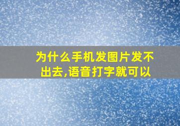 为什么手机发图片发不出去,语音打字就可以